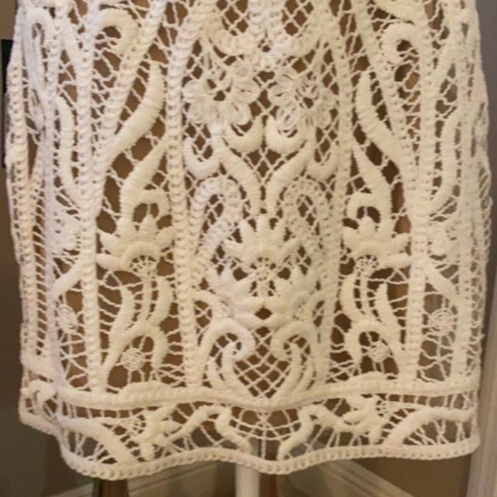 Tadashi Shoji NWT Illusion Crochet Lined Dress - Picture 13 of 16